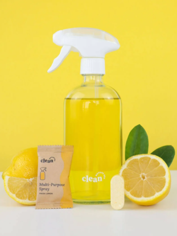 Nature Bee – Multi-Purpose Spray Kit Household Designed in Canada Nature Bee - Multi-Purpose Spray Kit